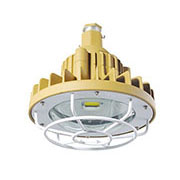 BAD808-A1 LED防爆燈10-30W