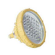 BAD808-C3 LED防爆燈20-100W