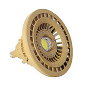BLE120-90C LED防爆燈
