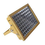 BLE120-120F LED防爆投光燈